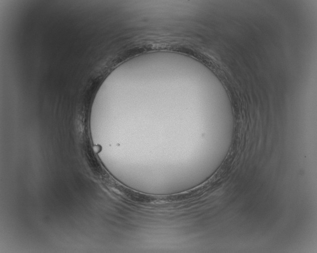 X0000074310691200608251005