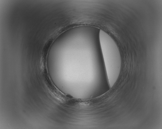 X0000074310692200608251005