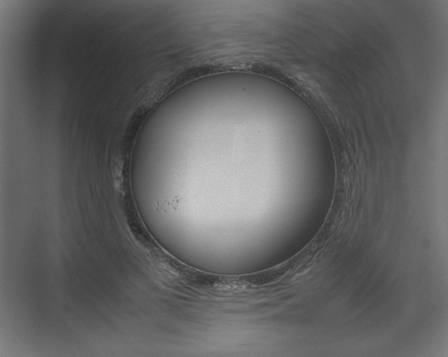 X0000074310693200608251005