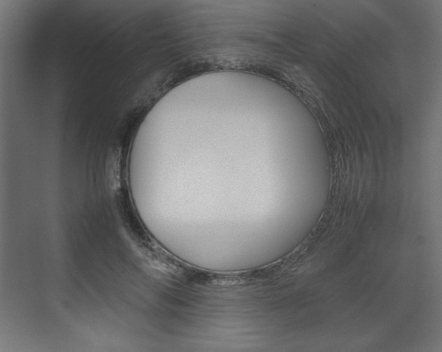 X0000074310694200608251005