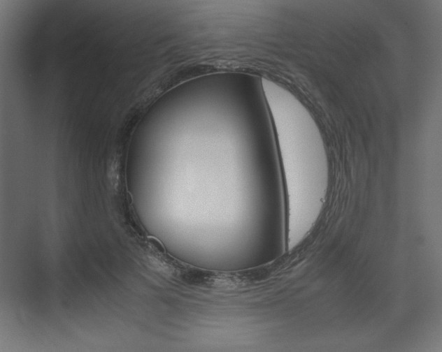 X0000074310697200608251005