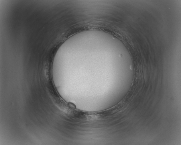 X0000074310698200608251005