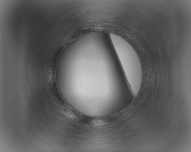 X0000074310704200608251005