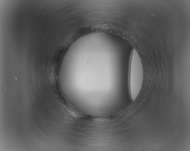 X0000074310708200608251005