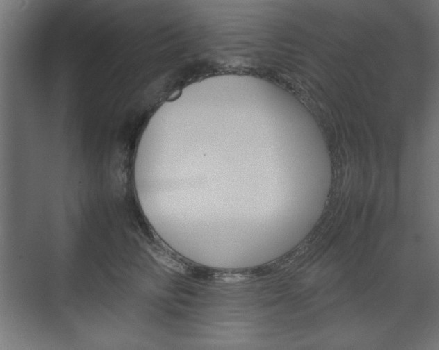 X0000074310710200608251005