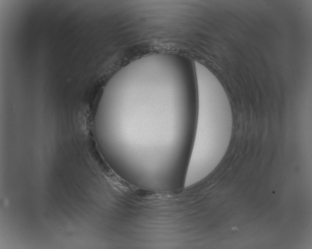 X0000074310712200608251005