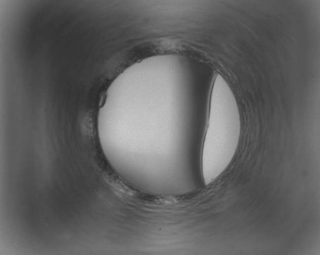 X0000074310715200608251005