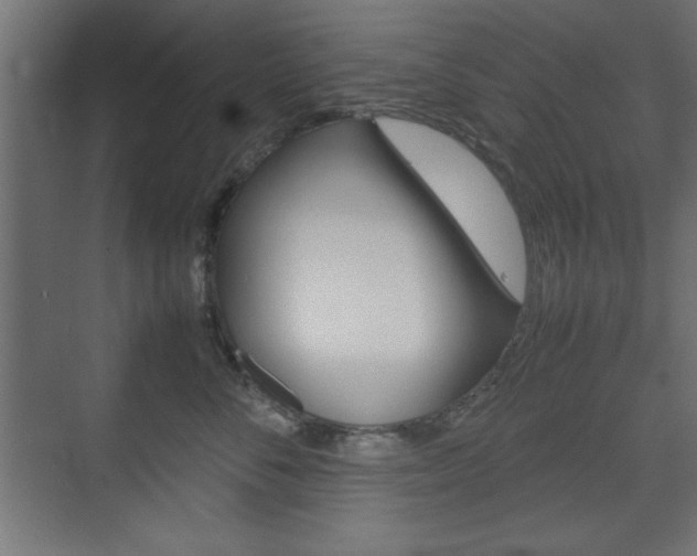 X0000074310716200608251005