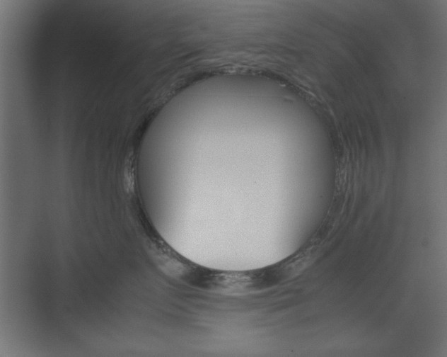 X0000074310719200608251005