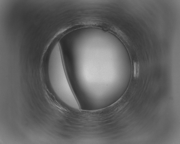 X0000074310723200608251004