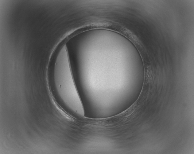 X0000074310726200608251004