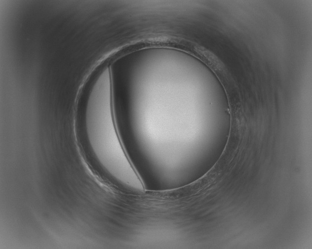 X0000074310728200608251004