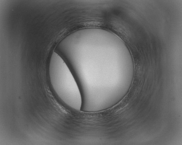 X0000074310729200608251004