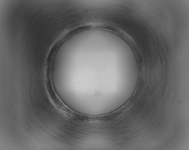 X0000074310730200608251004