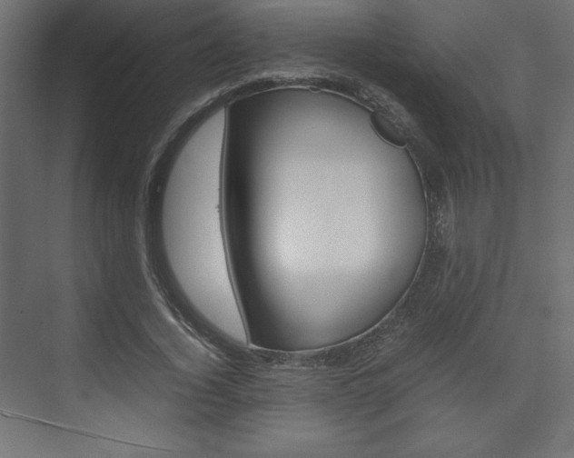 X0000074310732200608251004
