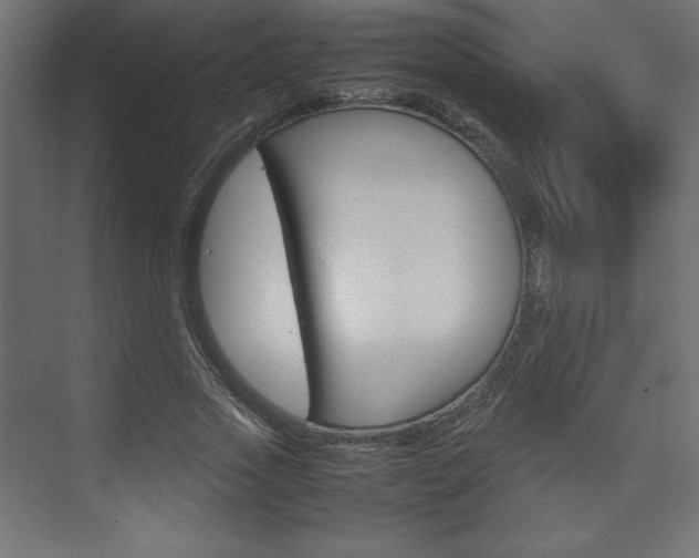 X0000074310733200608251004