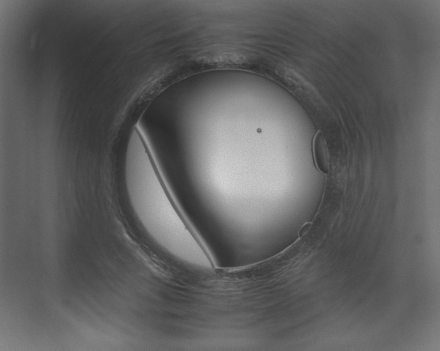 X0000074310735200608251004