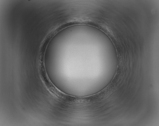 X0000074310736200608251004