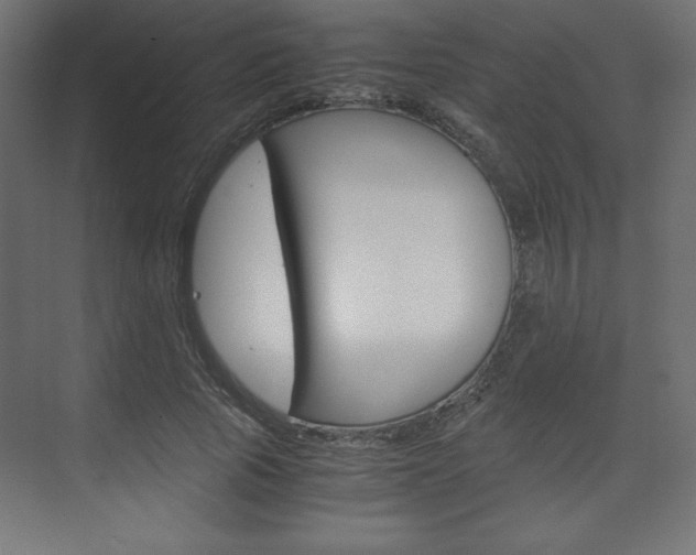 X0000074310737200608251004