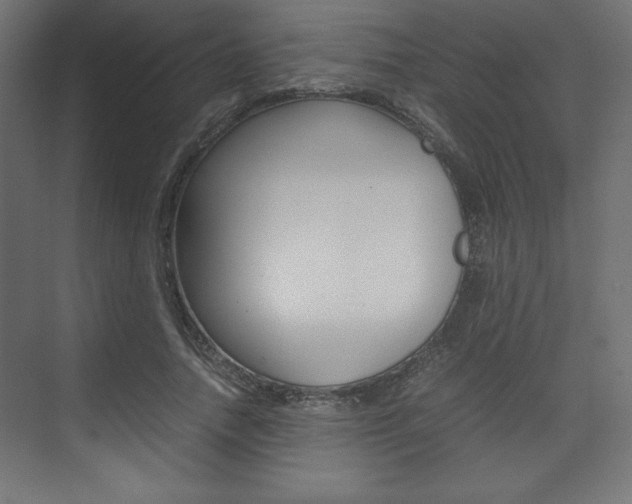 X0000074310738200608251004
