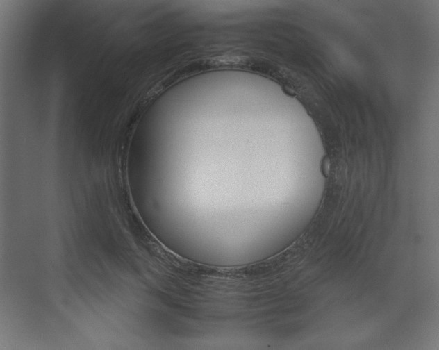X0000074310743200608251004
