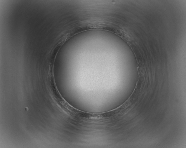 X0000074310744200608251004