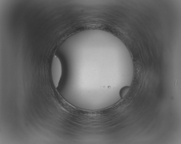 X0000074310745200608251004