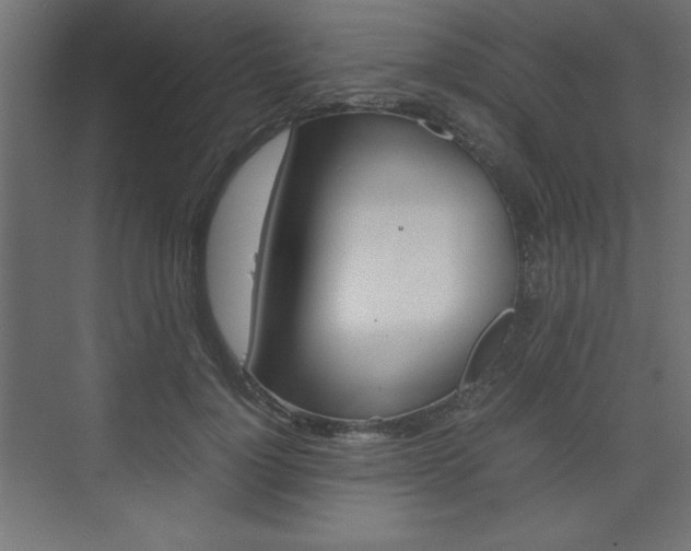 X0000074310748200608251004