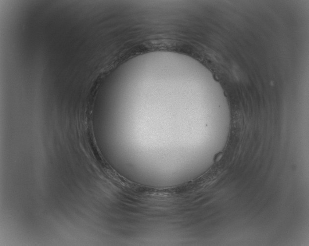 X0000074310751200608251004