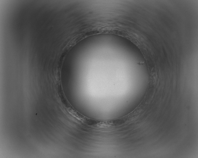 X0000074310756200608251004
