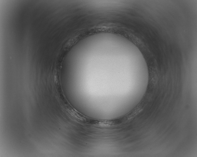 X0000074310758200608251004