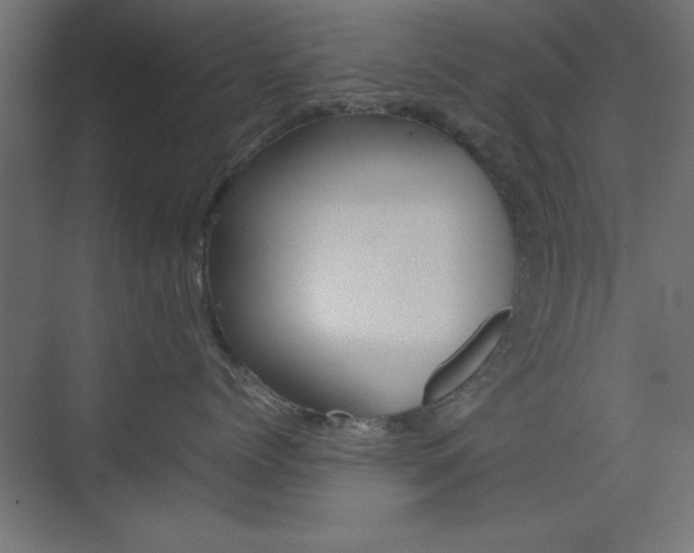 X0000074310768200608251004