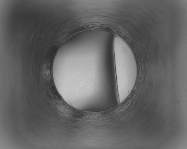 X0000074310771200608251004