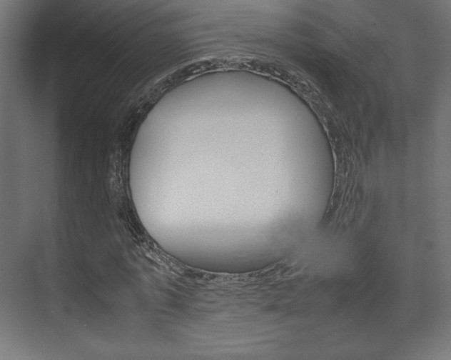 X0000074310773200608251004