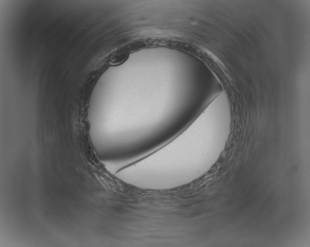 X0000074310775200608251004
