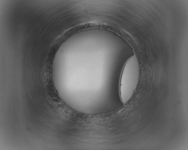 X0000074310776200608251004