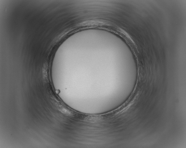 X0000074310778200608251004