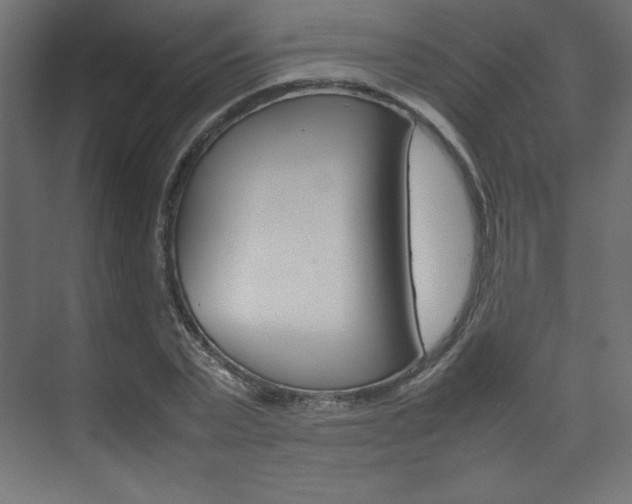 X0000074310783200608251003