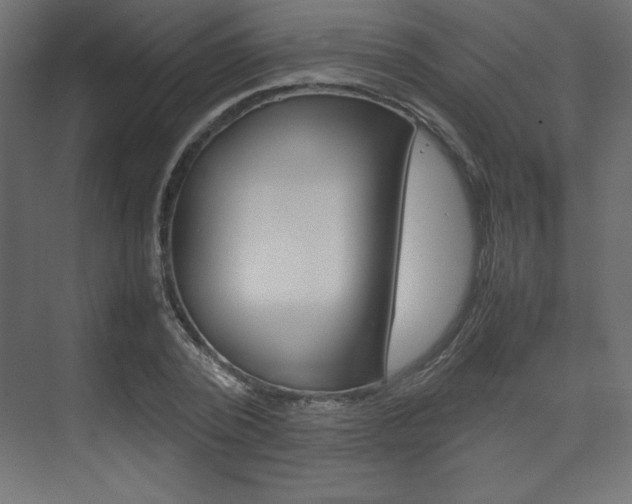X0000074310784200608251003