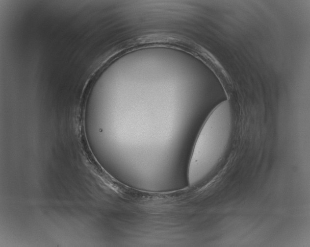 X0000074310786200608251003
