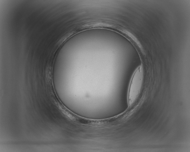 X0000074310793200608251003