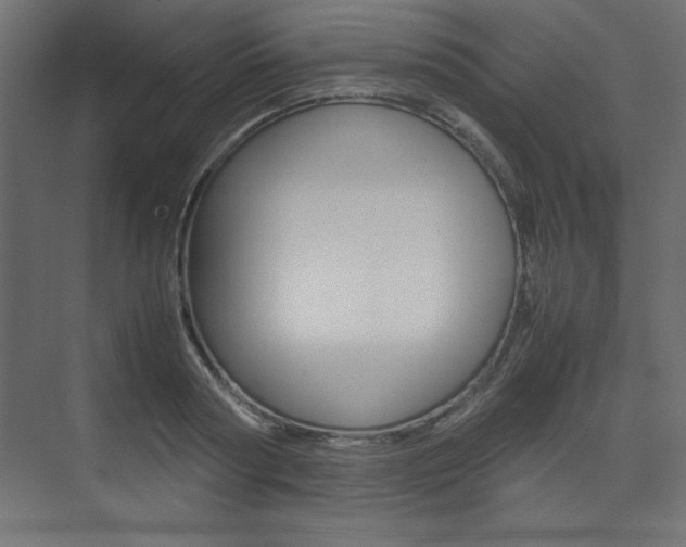 X0000074310794200608251003