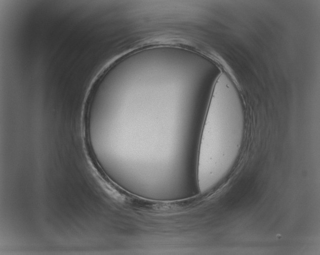 X0000074310795200608251003