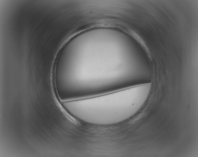 X0000074310803200608251003