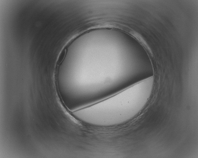 X0000074310805200608251003