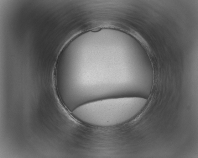 X0000074310806200608251003