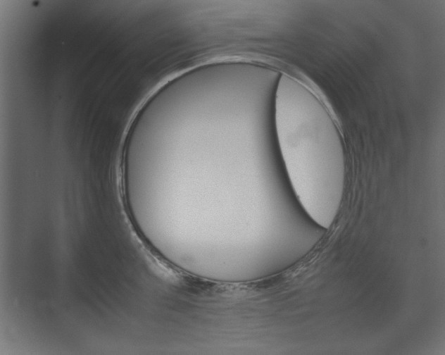 X0000074310811200608251003