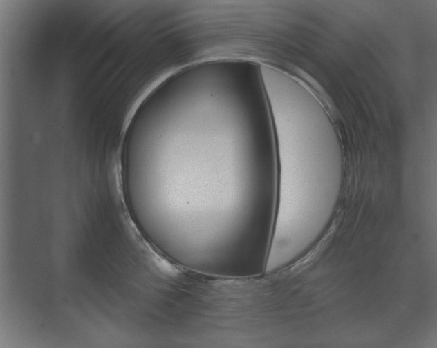 X0000074310812200608251003