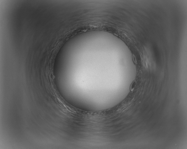X0000074310817200608251002