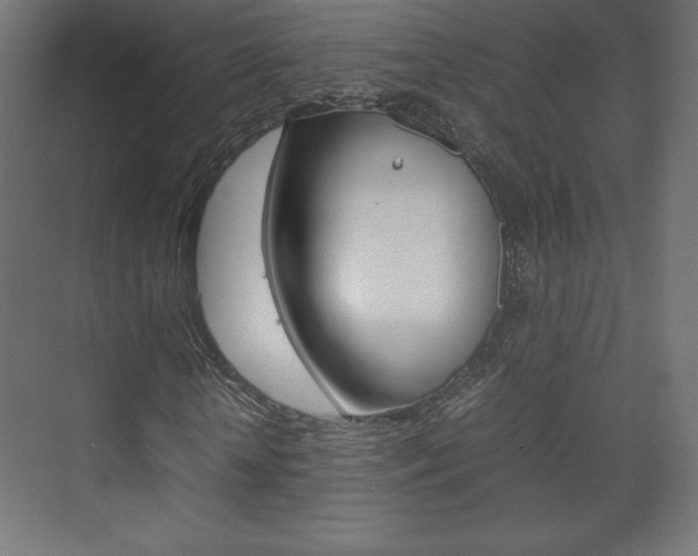X0000074310818200608251002